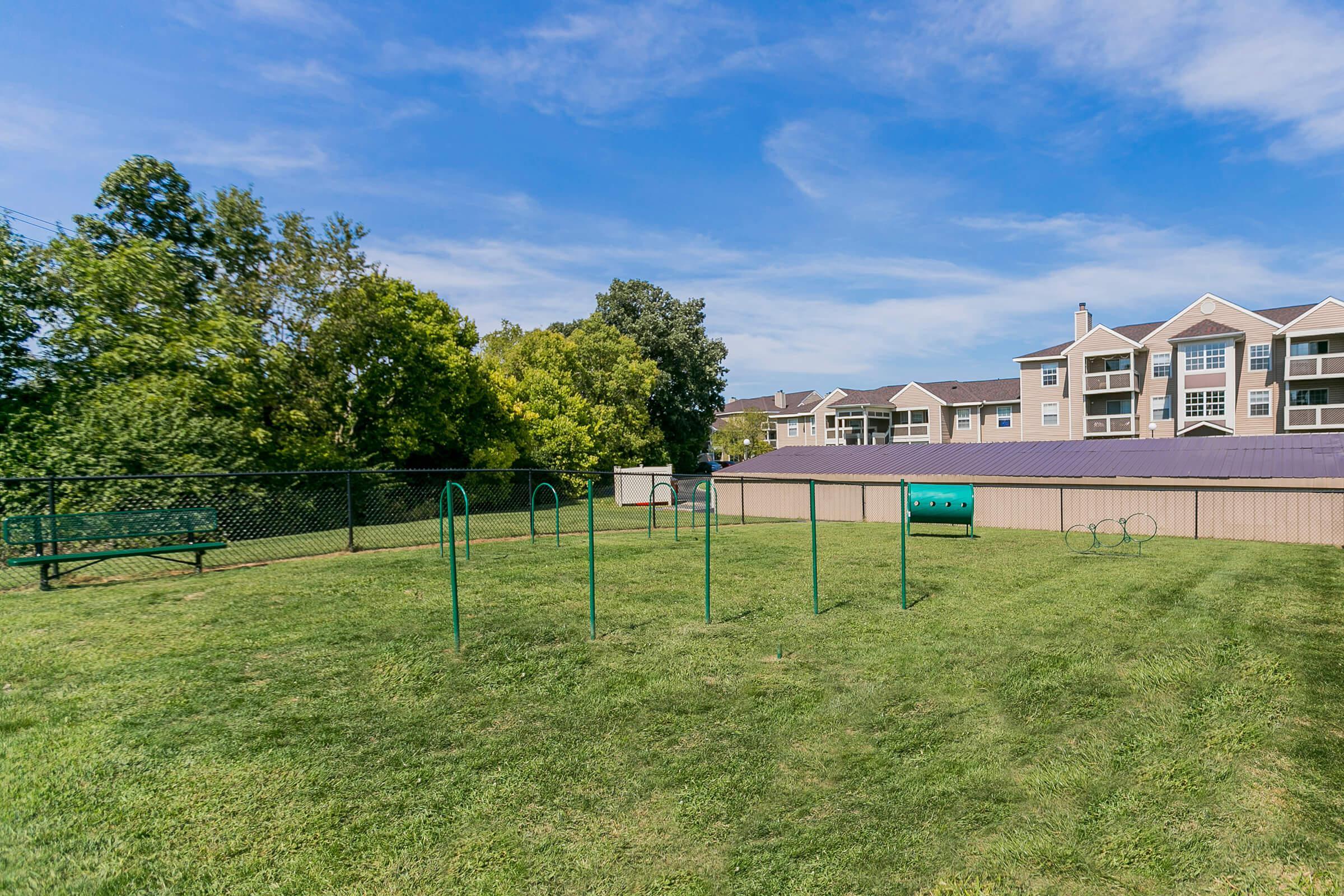 field with dog agility course